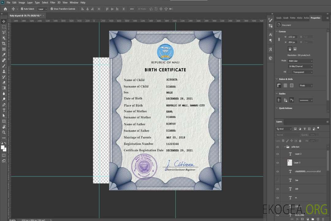 Modèle PSD d'acte de naissance du Mali template